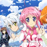 Собачья жизнь