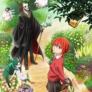 Невеста чародея